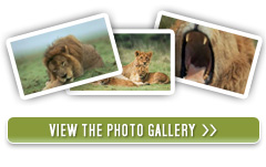 View the Photo Gallery
